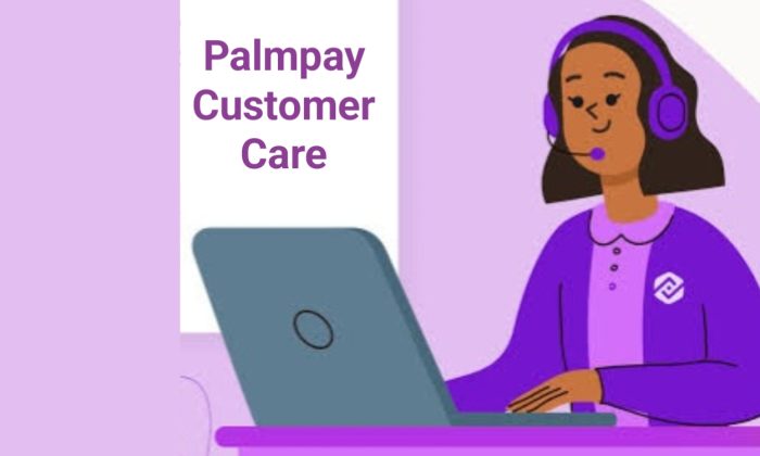 Palmpay customer care
